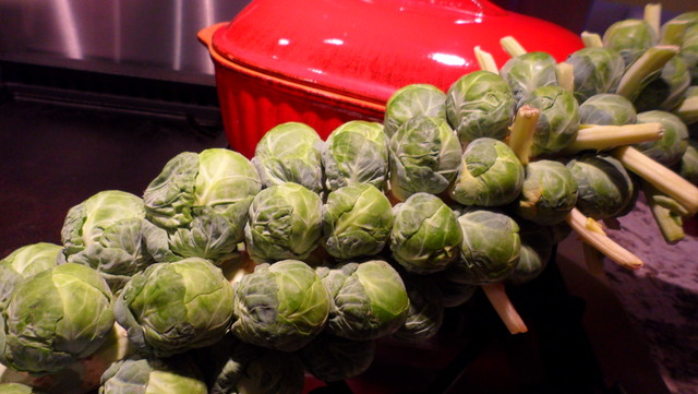 Roasted Brussels Sprouts with Cherries and Candied Pecans